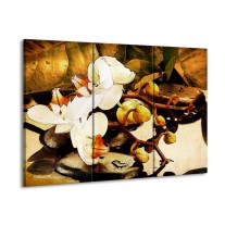 Canvas schilderij Orchidee | Bruin, Wit, Groen | 90x60cm 3Luik