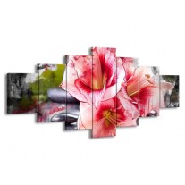 Glas schilderij Bloem | Rood, Wit, Grijs | 210x100cm 7Luik