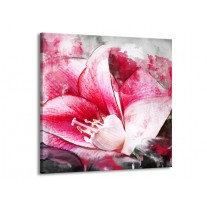Glas schilderij Bloem | Roze, Wit, Grijs | 70x70cm 1Luik