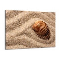 Glas schilderij Zand | Bruin | 100x70cm 1Luik