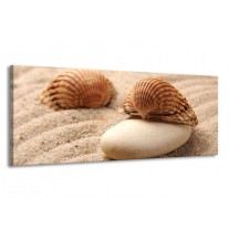 Glas schilderij Spa | Bruin, Crème | 145x58cm 1Luik