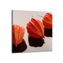 Glas schilderij Spa | Oranje, Grijs, Bruin | 70x70cm 1Luik