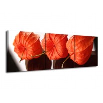 Glas schilderij Keuken | Oranje, Wit | 120x40cm 3Luik