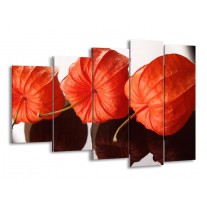 Glas schilderij Keuken | Oranje, Wit | 150x100cm 5Luik