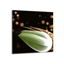 Glas schilderij Tulp | Groen, Bruin, Zwart | 50x50cm 1Luik