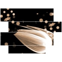 Canvas schilderij Tulp | Bruin, Zwart | 115x85cm 4Luik