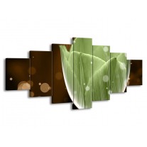 Glas schilderij Tulp | Groen, Bruin | 210x100cm 7Luik