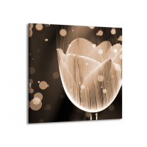 Glas schilderij Tulp | Grijs, Zwart | 70x70cm 1Luik
