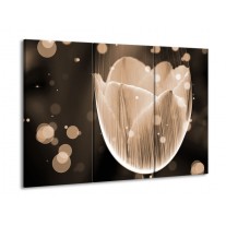Glas schilderij Tulp | Grijs, Zwart | 90x60cm 3Luik