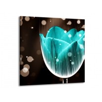 Glas schilderij Tulp | Blauw, Zwart | 70x70cm 1Luik