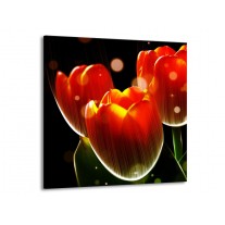 Glas schilderij Tulp | Oranje, Geel, Rood | 70x70cm 1Luik