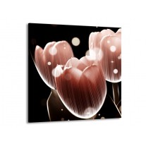 Glas schilderij Tulp | Bruin, Zwart | 50x50cm 1Luik