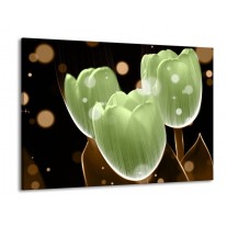 Glas schilderij Tulp | Groen, Zwart | 100x70cm 1Luik