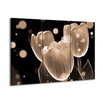 Glas schilderij Tulp | Grijs, Zwart | 90x60cm 3Luik