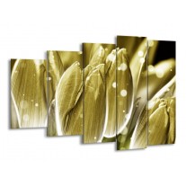 Glas schilderij Tulp | Goud, Wit | 150x100cm 5Luik