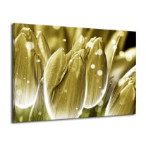 Glas schilderij Tulp | Goud, Wit | 70x50cm 1Luik