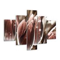 Glas schilderij Tulp | Bruin, Wit | 100x70cm 5Luik