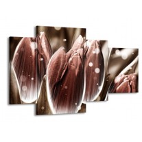 Glas schilderij Tulp | Bruin, Wit | 120x75cm 4Luik