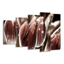 Glas schilderij Tulp | Bruin, Wit | 150x100cm 5Luik