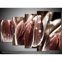 Klok schilderij Tulp | Bruin, Wit | 150x100cm 5Luik