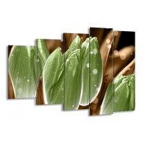 Glas schilderij Tulp | Groen, Bruin | 150x100cm 5Luik