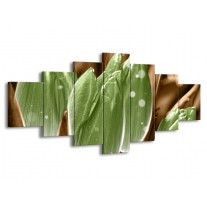 Glas schilderij Tulp | Groen, Bruin | 210x100cm 7Luik