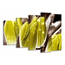 Canvas schilderij Tulp | Geel, Grijs | 150x100cm 5Luik