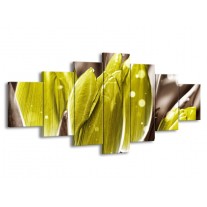 Glas schilderij Tulp | Geel, Grijs | 210x100cm 7Luik