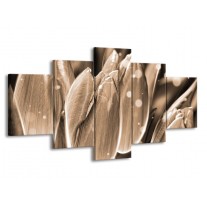 Glas schilderij Tulp | Grijs, Zwart | 150x80cm 5Luik