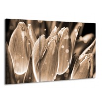 Glas schilderij Tulp | Grijs, Zwart | 165x100cm 3Luik