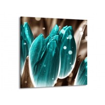 Glas schilderij Tulp | Blauw, Grijs | 70x70cm 1Luik