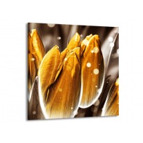 Canvas schilderij Tulp | Oranje, Grijs | 50x50cm 1Luik