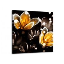 Glas schilderij Bloem | Geel, Zwart | 70x70cm 1Luik