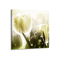 Glas schilderij Tulp | Wit, Grijs | 50x50cm 1Luik