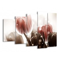 Glas schilderij Tulp | Bruin, Grijs | 150x100cm 5Luik