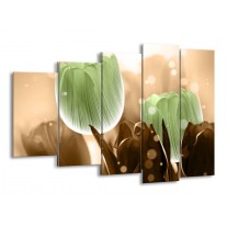 Glas schilderij Tulp | Groen, Bruin | 150x100cm 5Luik