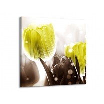 Glas schilderij Tulp | Geel, Grijs | 50x50cm 1Luik