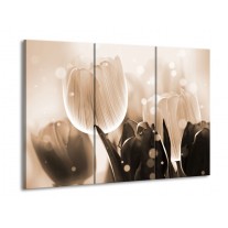 Glas schilderij Tulp | Grijs, Bruin, Zwart | 90x60cm 3Luik