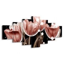 Glas schilderij Tulp | Bruin, Zwart | 210x100cm 7Luik