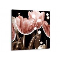 Glas schilderij Tulp | Bruin, Zwart | 50x50cm 1Luik