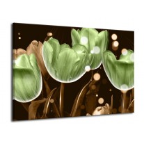 Glas schilderij Tulp | Groen, Bruin | 70x50cm 1Luik
