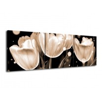 Canvas schilderij Tulp | Wit, Grijs | 120x40cm 3Luik