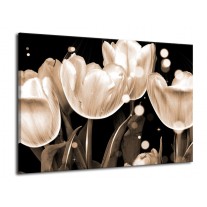 Canvas schilderij Tulp | Wit, Grijs | 70x50cm 1Luik