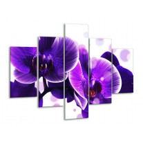 Glas schilderij Orchidee | Blauw, Wit | 100x70cm 5Luik
