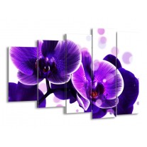 Canvas schilderij Orchidee | Blauw, Wit | 150x100cm 5Luik