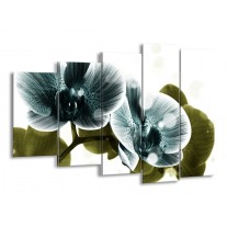 Canvas schilderij Orchidee | Blauw, Groen | 150x100cm 5Luik