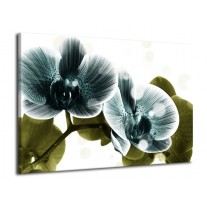Glas schilderij Orchidee | Blauw, Groen | 70x50cm 1Luik