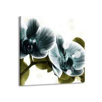 Glas schilderij Orchidee | Blauw, Groen | 70x70cm 1Luik