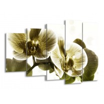 Canvas schilderij Orchidee | Grijs, Wit | 150x100cm 5Luik