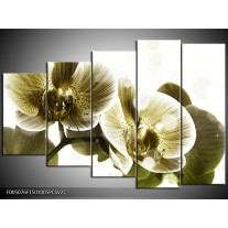 Klok schilderij Orchidee | Grijs, Wit | 150x100cm 5Luik